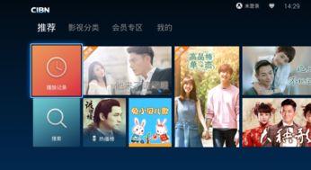 a毛片国产TV视频,a毛片，带你领略视觉盛宴