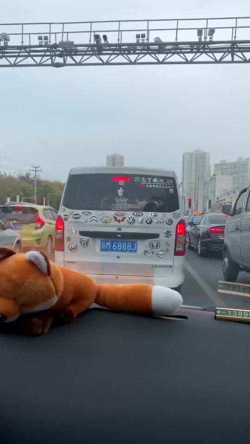 巴西偶遇国产车辆视频,国产汽车扬帆海外！