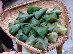 江苏国产粽子故事视频播放  第3张