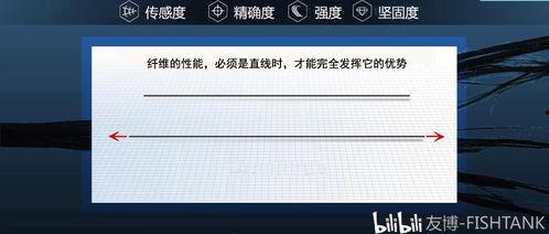 国产弹射竿测评视频网页  第3张