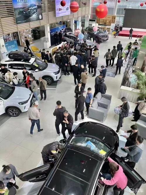 东风国产4s店直播视频  第3张