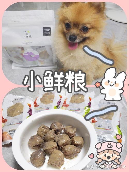 国产疯狂的小狗粮视频  第3张